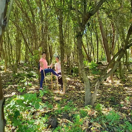 Séjour à la campagne Casa La Jara *
